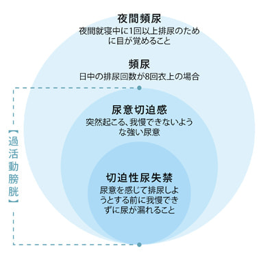 過活動膀胱（図１）